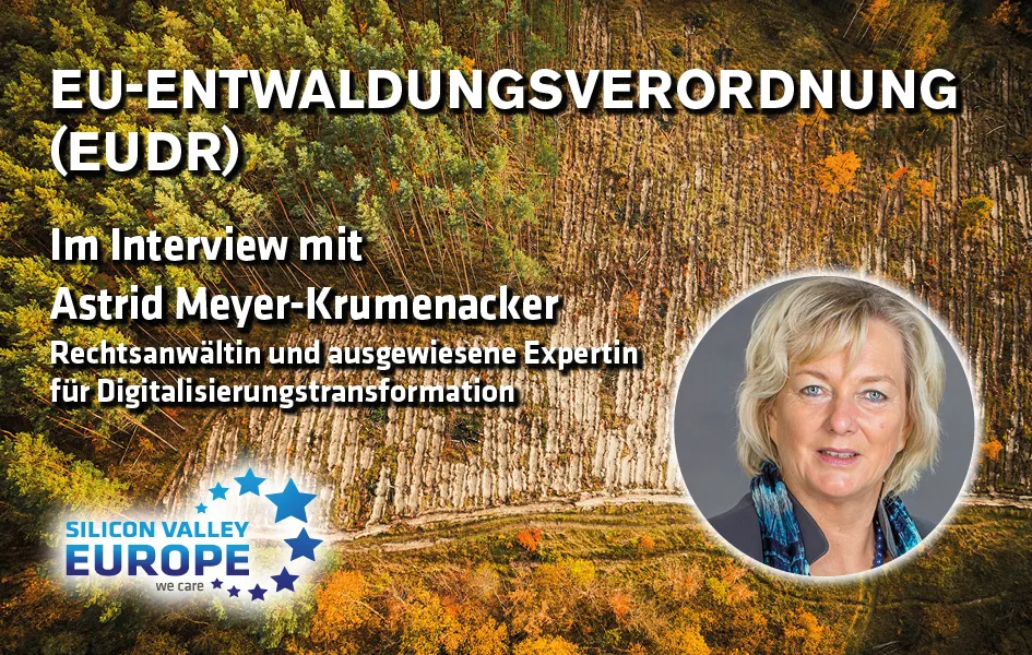 Im nachstehenden Interview mit Astrid Meyer-Krumenacker, Rechtsanwältin und ausgewiesene Expertin für Digitalisierungstransformation, erhalten Sie einen tiefen Einblick in die Aus…