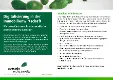 How does avocado rechtsanwälte support you in real estate transactions?