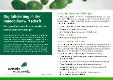 Wie unterstützt avocado rechtsanwälte Sie bei Immobilienvermietungen